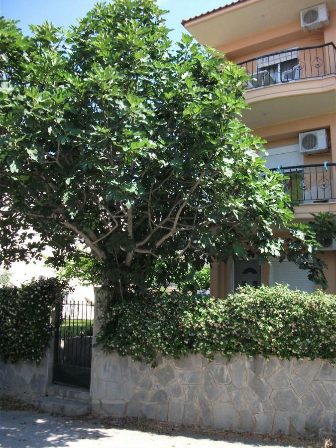 Апартаменты Fani House Kallithea  Экстерьер фото